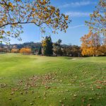 Top Wroclaw Dental Clinics for Quality Care