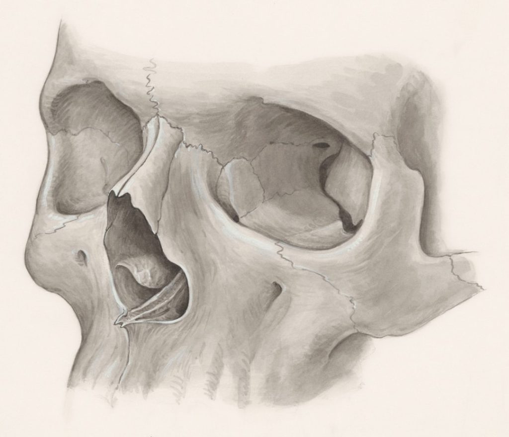 Photo Rhinoplasty
