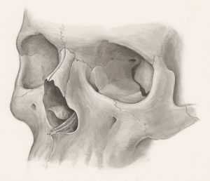 Photo Rhinoplasty