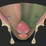 Otoplasty: Enhance Your Ears in Poland