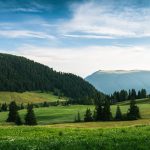 Male Breast Reduction: Gynecomastia Surgery in Poland